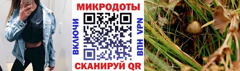 Галлюциногенные грибы Magic Shrooms  Купить  Чишмы 